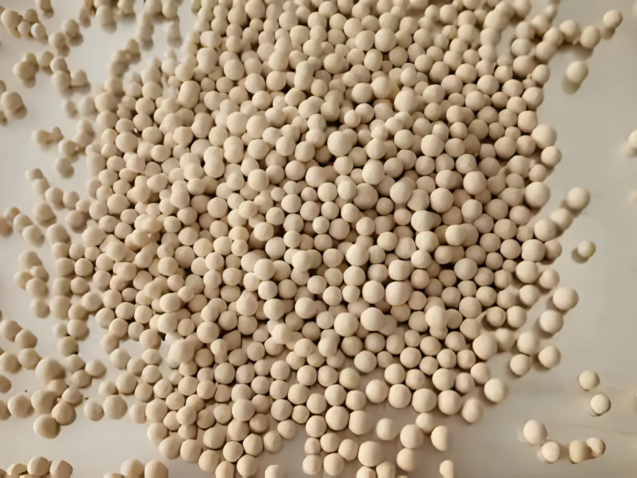 zeolite molecular sieve