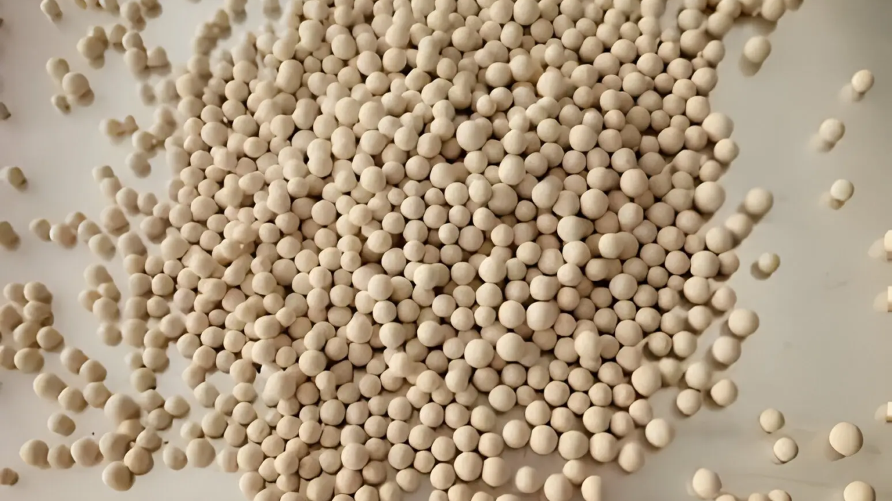 zeolite molecular sieve