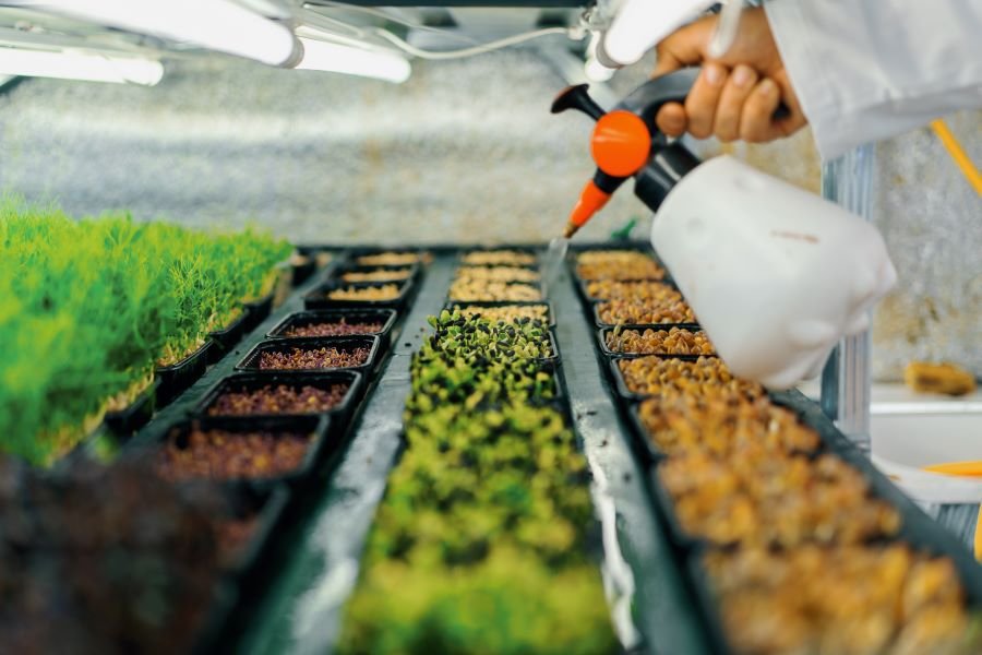Agricultural and Horticultural Uses