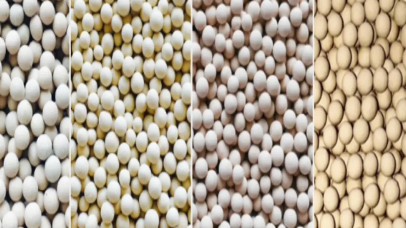 what is molecular sieve