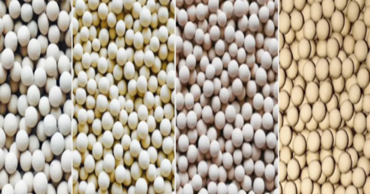 what is molecular sieve