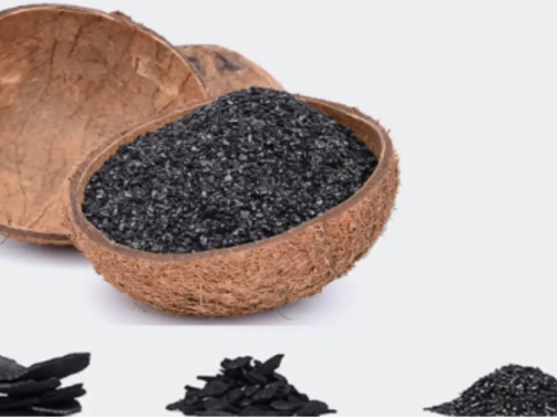 Coal vs Coconut Shell Activated Carbon