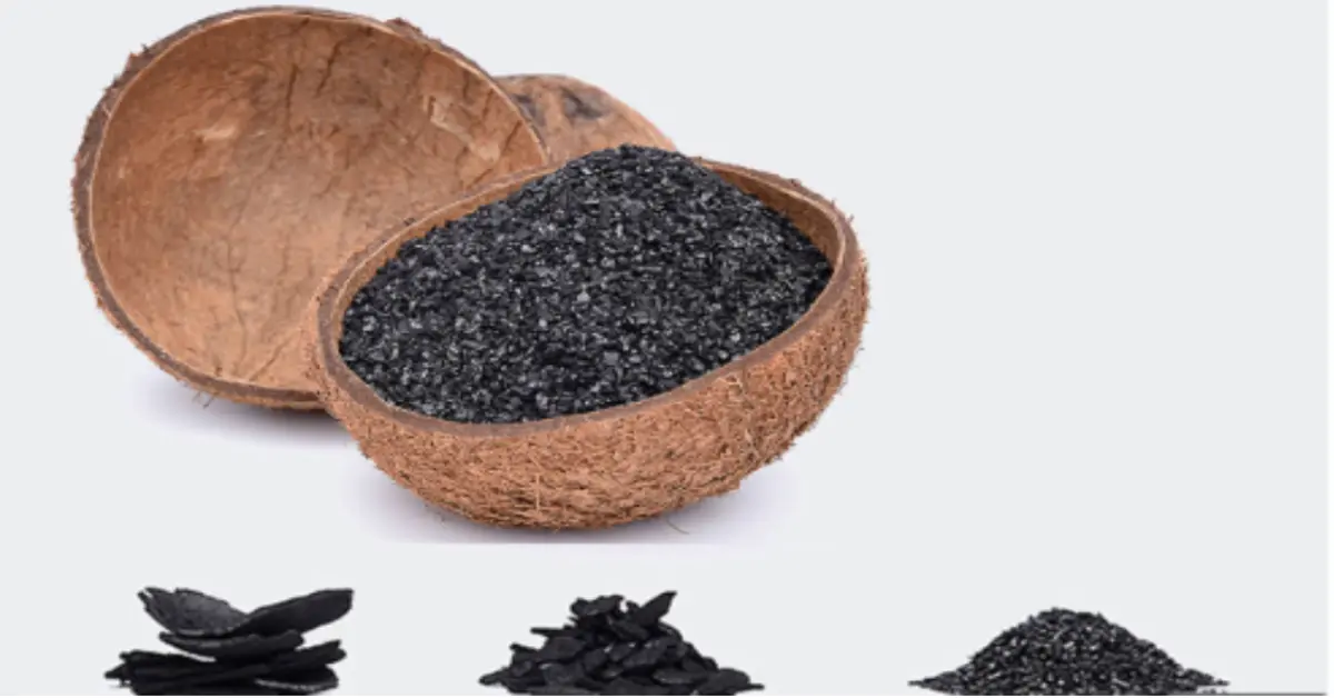 Coal vs Coconut Shell Activated Carbon