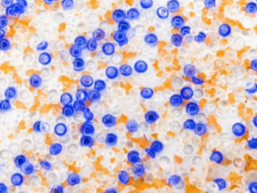 Indicating vs Non-Indicating Silica Gel