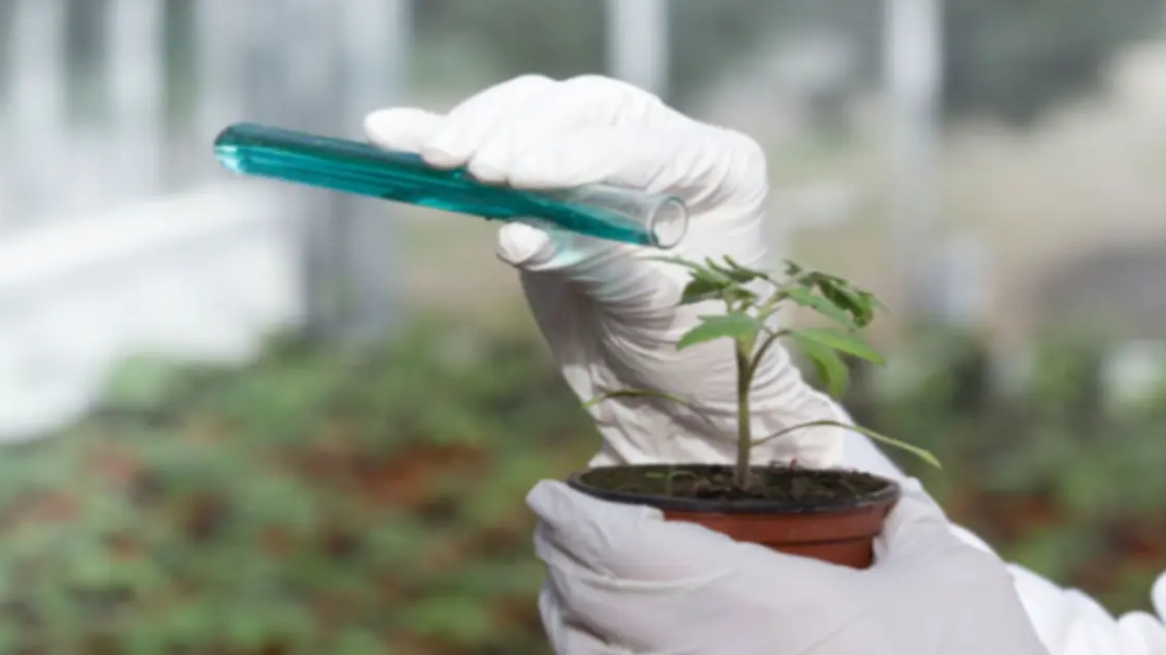 Agricultural chemicals