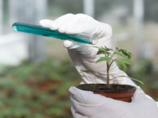 Agricultural chemicals