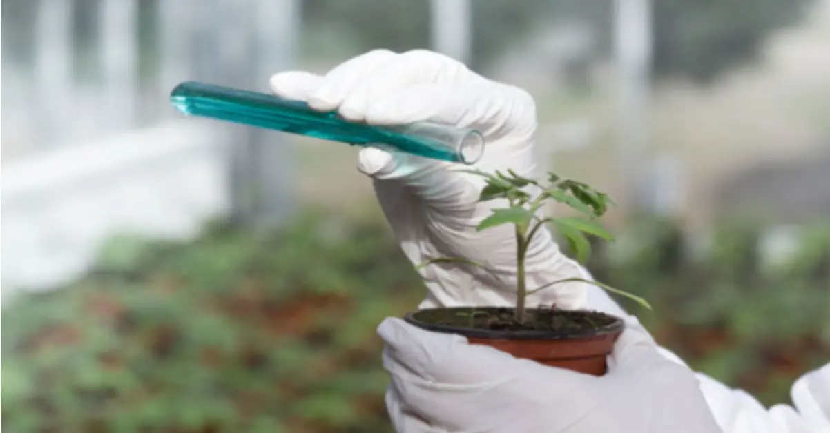 Agricultural chemicals